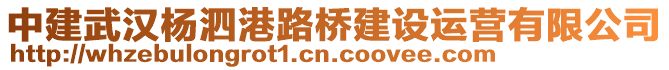 中建武漢楊泗港路橋建設(shè)運營有限公司