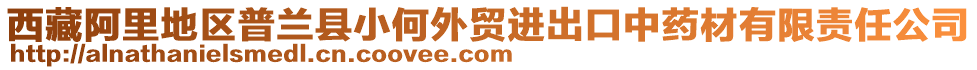 西藏阿里地区普兰县小何外贸进出口中药材有限责任公司