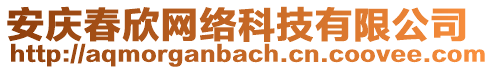 安慶春欣網(wǎng)絡(luò)科技有限公司