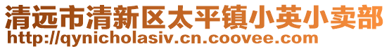 清遠市清新區太平鎮小英小賣部