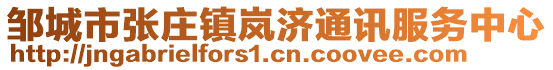 鄒城市張莊鎮嵐濟通訊服務中心