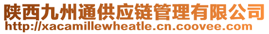 陜西九州通供應(yīng)鏈管理有限公司