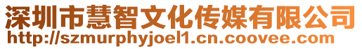 深圳市慧智文化傳媒有限公司