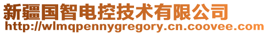 新疆国智电控技术有限公司