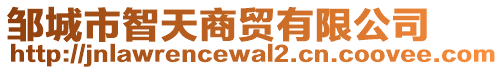 鄒城市智天商貿(mào)有限公司