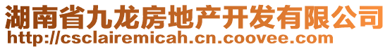 湖南省九龍房地產(chǎn)開發(fā)有限公司