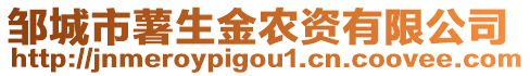 鄒城市薯生金農(nóng)資有限公司