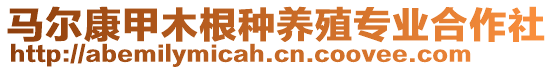 馬爾康甲木根種養(yǎng)殖專業(yè)合作社