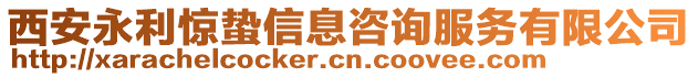 西安永利驚蟄信息咨詢(xún)服務(wù)有限公司