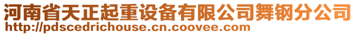 河南省天正起重設(shè)備有限公司舞鋼分公司