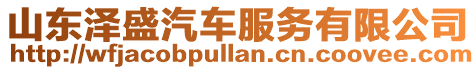 山東澤盛汽車服務(wù)有限公司