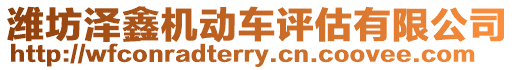 濰坊澤鑫機動車評估有限公司