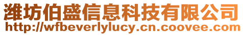 濰坊伯盛信息科技有限公司