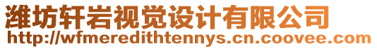 濰坊軒巖視覺設(shè)計有限公司
