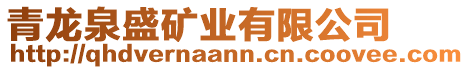 青龍泉盛礦業有限公司