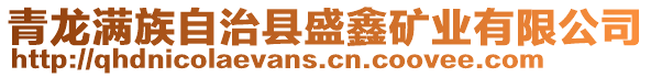 青龍滿族自治縣盛鑫礦業有限公司