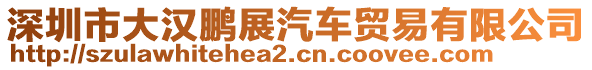 深圳市大漢鵬展汽車貿易有限公司