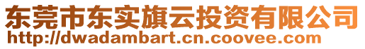 東莞市東實旗云投資有限公司