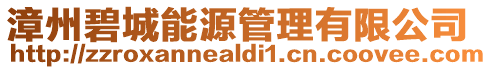 漳州碧城能源管理有限公司