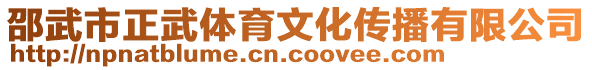 邵武市正武體育文化傳播有限公司