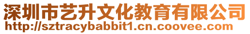 深圳市藝升文化教育有限公司