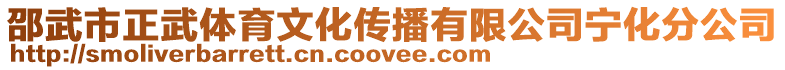 邵武市正武體育文化傳播有限公司寧化分公司