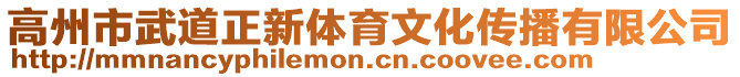 高州市武道正新體育文化傳播有限公司