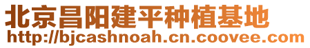 北京昌陽建平種植基地