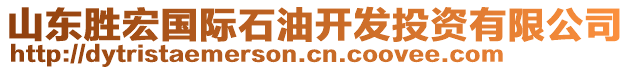 山東勝宏國(guó)際石油開發(fā)投資有限公司