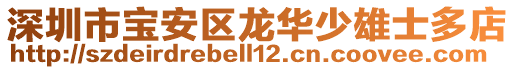 深圳市寶安區(qū)龍華少雄士多店