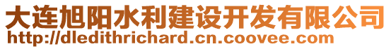 大連旭陽(yáng)水利建設(shè)開發(fā)有限公司