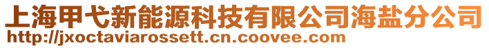 上海甲弋新能源科技有限公司海鹽分公司