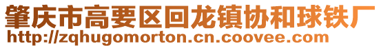 肇慶市高要區(qū)回龍鎮(zhèn)協(xié)和球鐵廠