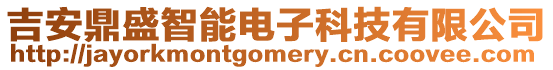 吉安鼎盛智能電子科技有限公司