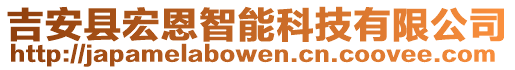 吉安縣宏恩智能科技有限公司