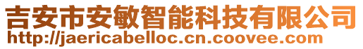 吉安市安敏智能科技有限公司