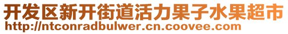 開發(fā)區(qū)新開街道活力果子水果超市