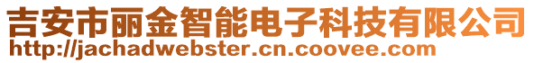 吉安市麗金智能電子科技有限公司