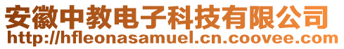 安徽中教電子科技有限公司