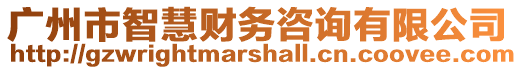 廣州市智慧財務咨詢有限公司