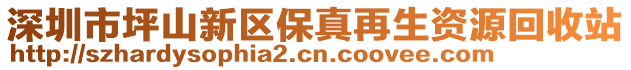 深圳市坪山新區保真再生資源回收站