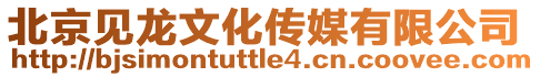 北京見龍文化傳媒有限公司
