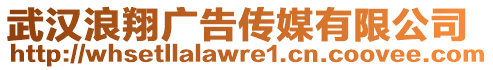 武漢浪翔廣告?zhèn)髅接邢薰? style=