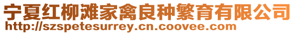 寧夏紅柳灘家禽良種繁育有限公司