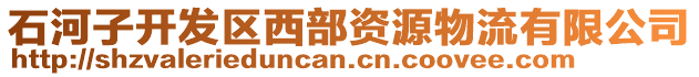 石河子開發(fā)區(qū)西部資源物流有限公司