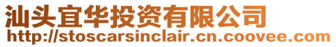 汕頭宜華投資有限公司
