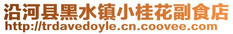 沿河縣黑水鎮(zhèn)小桂花副食店