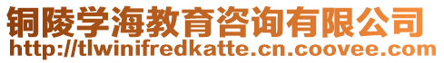 銅陵學海教育咨詢有限公司