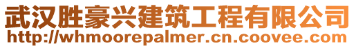 武漢勝豪興建筑工程有限公司