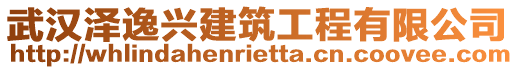 武漢澤逸興建筑工程有限公司